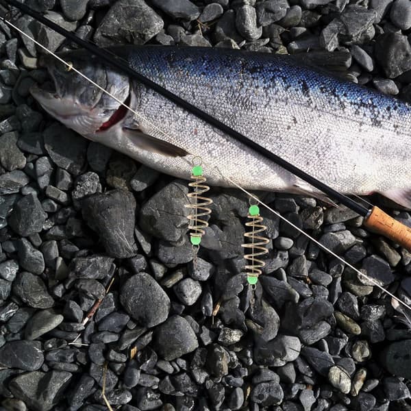 Fiskefoderbur Sæt med Lysende Perler Stærk Rivfast til Karpefiskeri