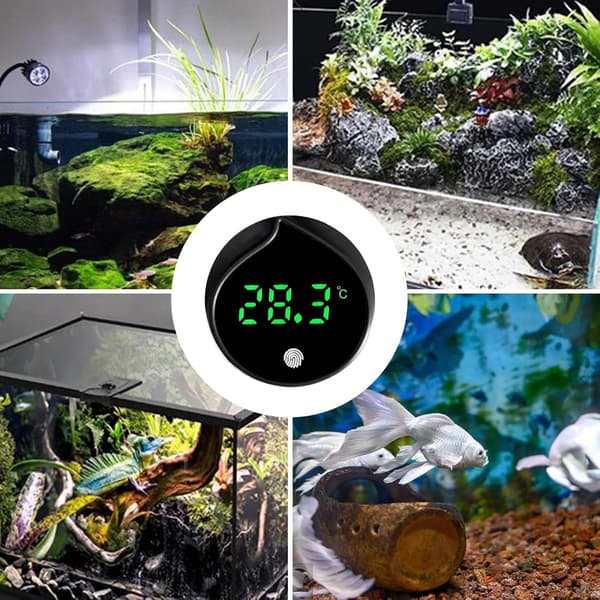 Digitalt termometer til akvarier