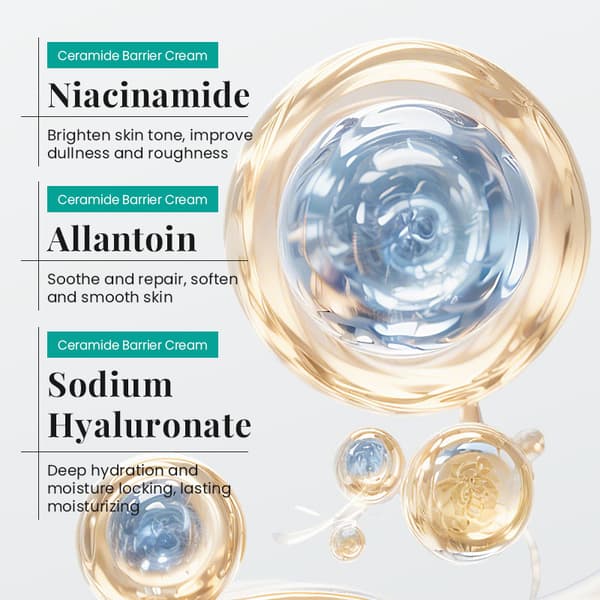 Ceramide Barrier Cream Fuktighetskrem Ansiktskrem Face Cream 140g
