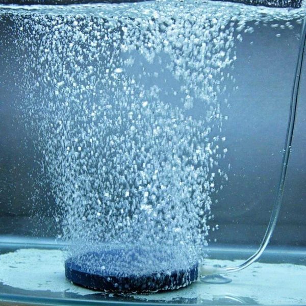 Disk Aerator Akvarium Fisk Tank Pump Hydroponisk Syreplatta Luftsten UK LAGER