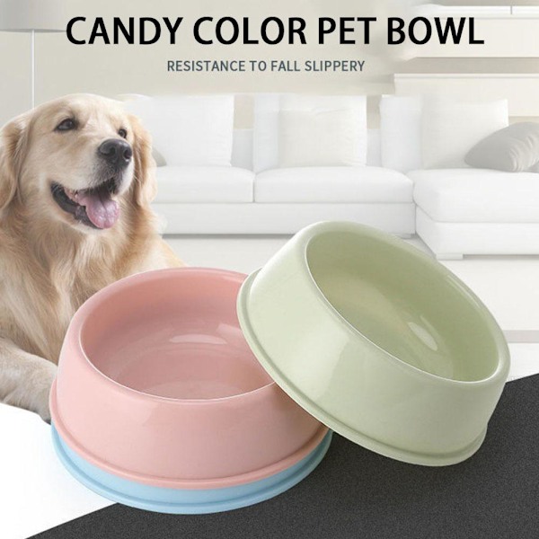 Skål för husdjur, hund och katt, resefotspår, matningsfoder, vatten, plast blue one-size