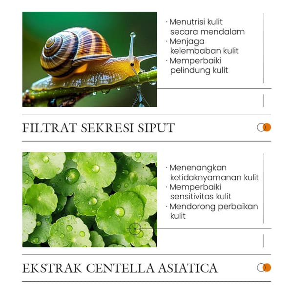 Snigel Ansiktsrengöring med lågt pH-värde