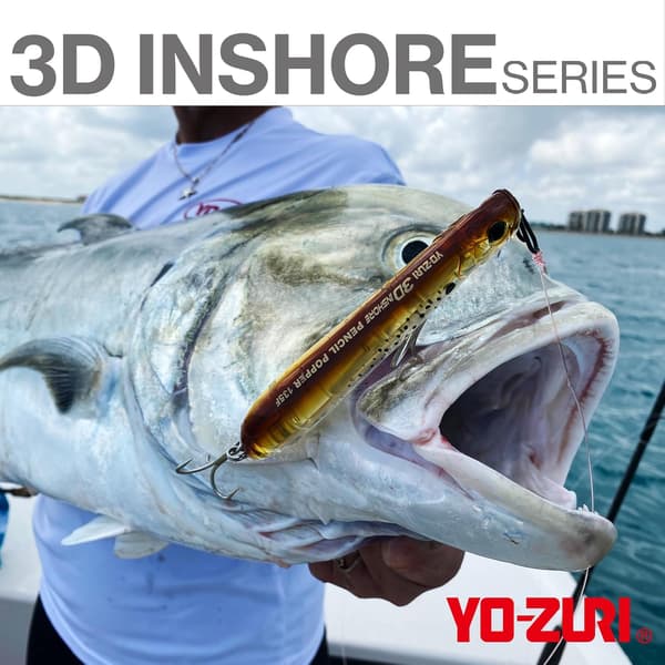 3 D Inshore Twitchbait Långsamt sjunkande bete Mm 2