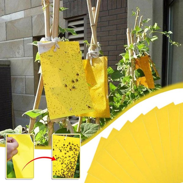 1/5/10 st Klibbig fruktflugafälla Hängande insektflugor Insektsfångare yellowA one-size 10pcs