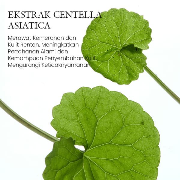 Centella Asiatica -kosteusvoide kosteutetulle iholle