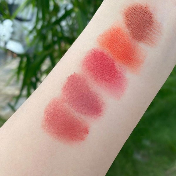 Läppglansset Matte Röd Ton för Läppar Makeup Varaktig Vatten Spegel Canine Mirror Set one size