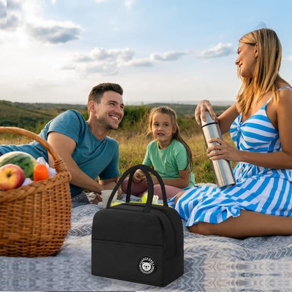 Liten 6L isolerad lunchväska med foliefoder, mini isolerad väska, isolerad lunchlåda med foliefoder, bärbar isolerad väska, vikbar, lämplig