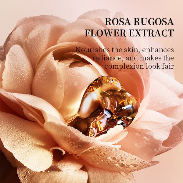 Rose Flawless Double-Layer Cushion Foundation för kvinnor