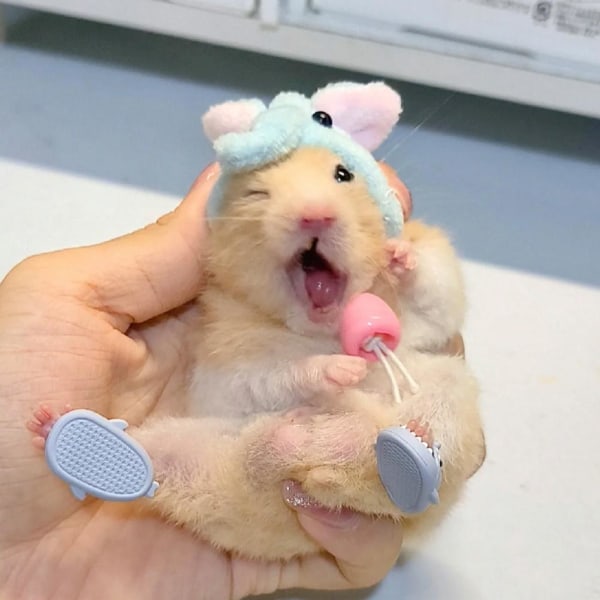 1 Par Mini Hajtofflor i Silikon för Husdjur Hamster Igelkottar Roliga Mint Green S