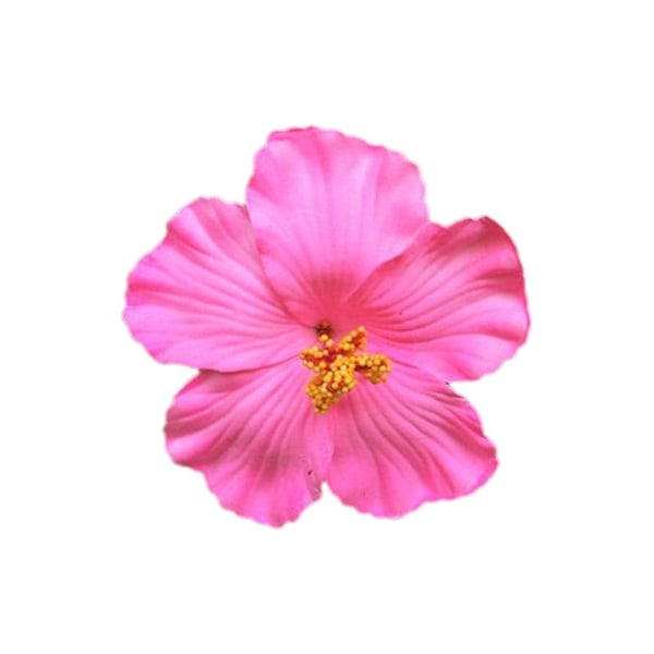 Hawaiiansk Hårklämma med Blomma, Realistisk Hibiskus Hårklämma, Böhmiska Blommor Håraccessoar för Dansare Bröllop Strandfest Hårklämma red one-size
