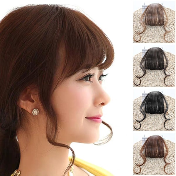 Falska lugg Airs Bangs Hårflik Hårförlängning Lugg Trendig Hai black brown 1pcs