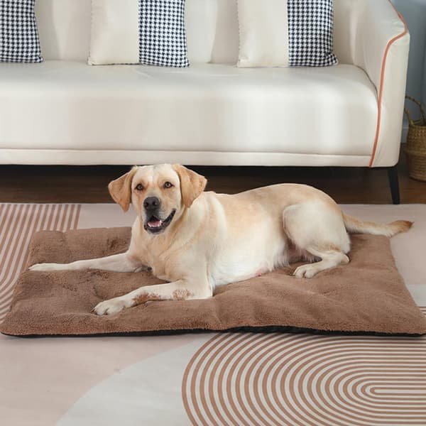 Selvopvarmende tæpper til katte og hunde - opvarmede tæpper, vaskbare termotæpper, biltæpper, kattemåtter, indendørs tæpper (70 x 45 cm)