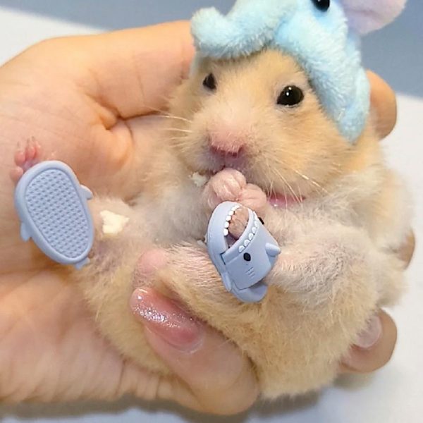 1 Par Mini Hajtofflor Silikon Husdjur Hamster Igelkott Skor Roliga Hajtofflor gray S