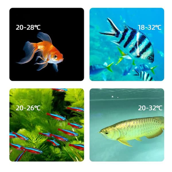 Digitalt termometer til akvarier