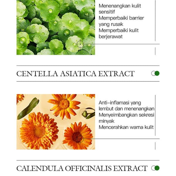 Centella Asiatica Rensende og Oljekontrollerende Leirmaske