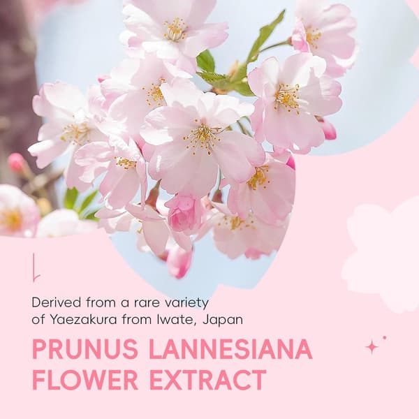 Makeup Setting Spray, JAPAN SAKURA Dewy Setting Mist Långvarig Vattentät Svettresistent, Lätt Hydrerande Ansiktsmist för Oljekontroll & G