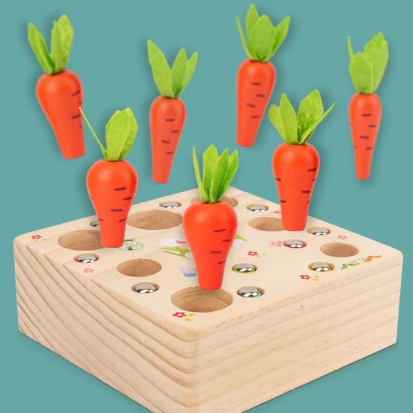 Baby 2 i 1 magnetisk trækkende gulerødder Fang insekter trælegetøj Montessori farveform sorteringsspil