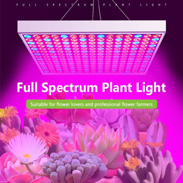 UV Grow Light V LED Full Spectrum Plant t.ex. Lampa För inomhus hydroponic Plant 25W