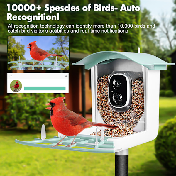 Smart videokamera fuglefoder med solpanel automatisk optagelse fugleobservation