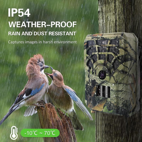 Jagtkamera 16mp 1080p Ip56 vandtæt udendørs jagtkamera Wildlife Scouting kamera 46 lysdioder Night Vision CN