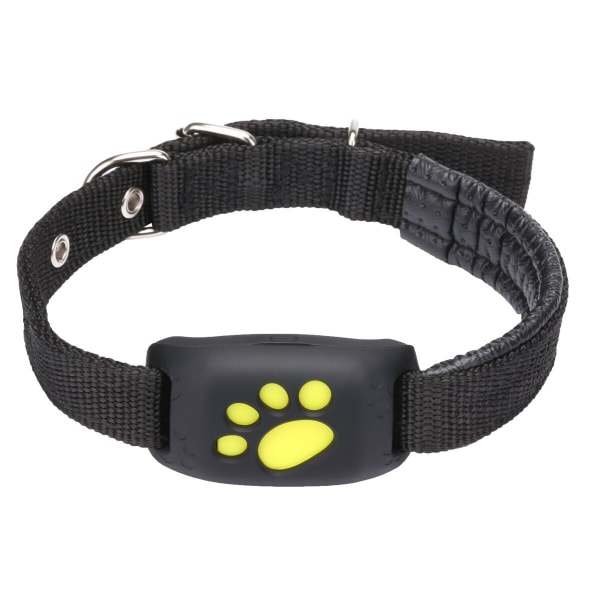 Smart GPS-spårare för katt- och hundhalsband