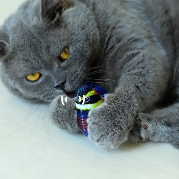 Kvitter Fågel Kattleksak Kattunge Leksak Retande Kattleksak Vocalize Dörrhängande leksak Brun