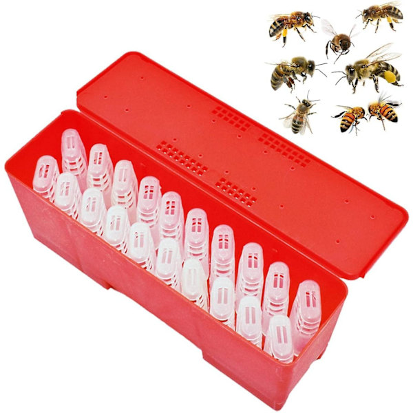 Queen Bee Cages - Bee Cell Incubator - 20 Queen Bee Cages, Birøkteroppdrettsutstyr for transport av Queen Bees