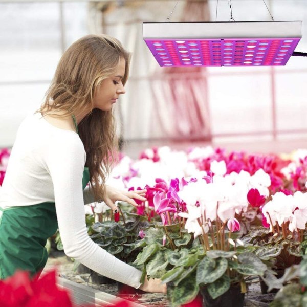 UV Grow Light V LED Full Spectrum Plant t.ex. Lampa För inomhus hydroponic Plant 45W