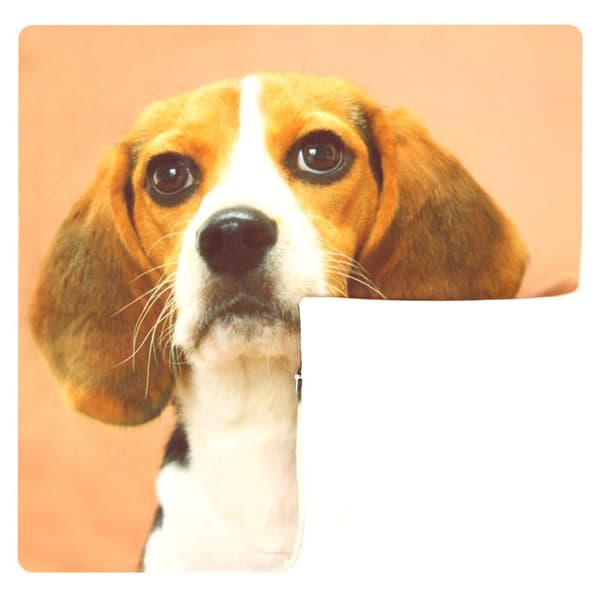 Pyntehuse - AVIZAR - Sæt af 2 - 40x40 cm - Beagle Motiv - Brun brun