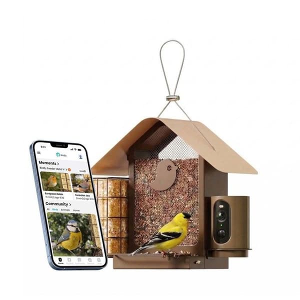 Fuglefoderstation med AI-kamera og solmodul IP66 Birdfy Bronze brun