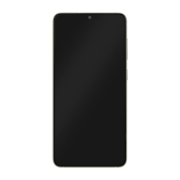 Komplet blok Samsung Galaxy S21 FE LCD-skærm Touch Glas Original Samsung grøn