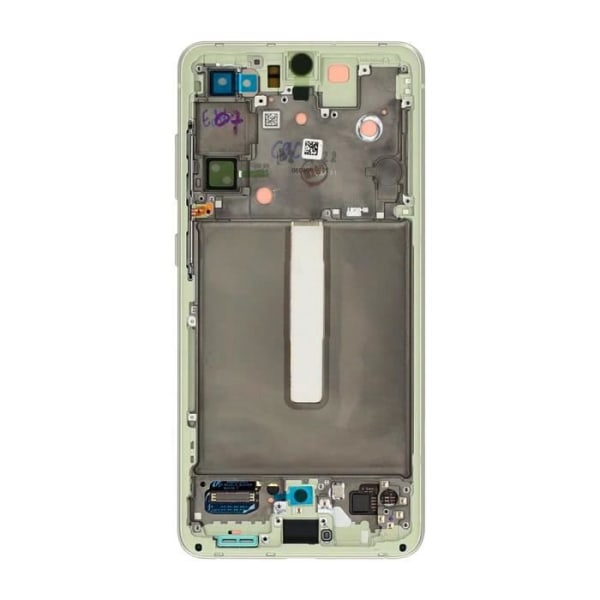 Komplett block Samsung Galaxy S21 FE LCD-skärm Touchglas Original Samsung grön