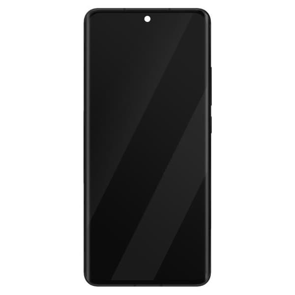 LCD-skärm - XIAOMI - 12 Pro - Touchglas - Förmonterad chassi - Härdat glas Grå