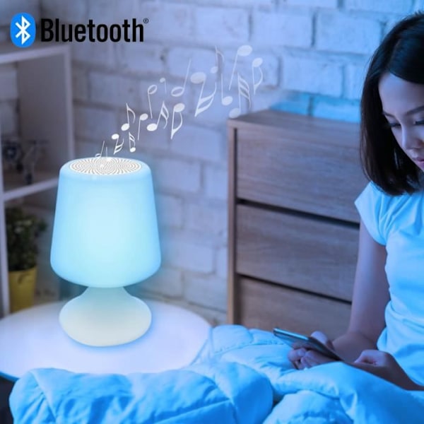 Bluetooth Duo Inter-Connected Outdoor 7 Color Compact Colorblock Lampor