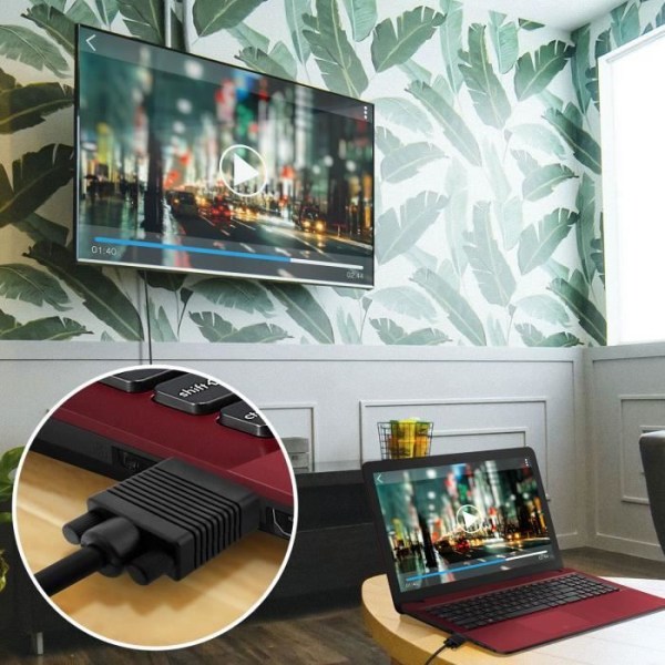 VGA-kabel - LINQ - Videoadapter - 3m - Hane till Hane - HD 1920x1080 Svart