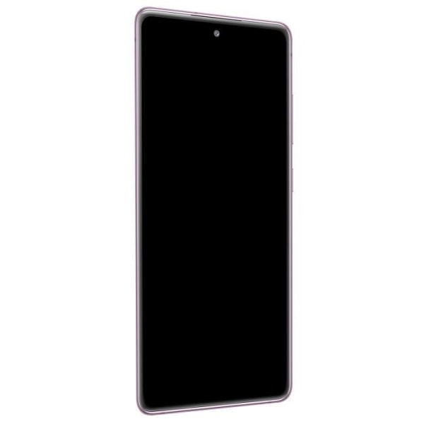 Samsung Galaxy S20 FE 5G Full Block LCD-pekskärm Original Lavendel Lila