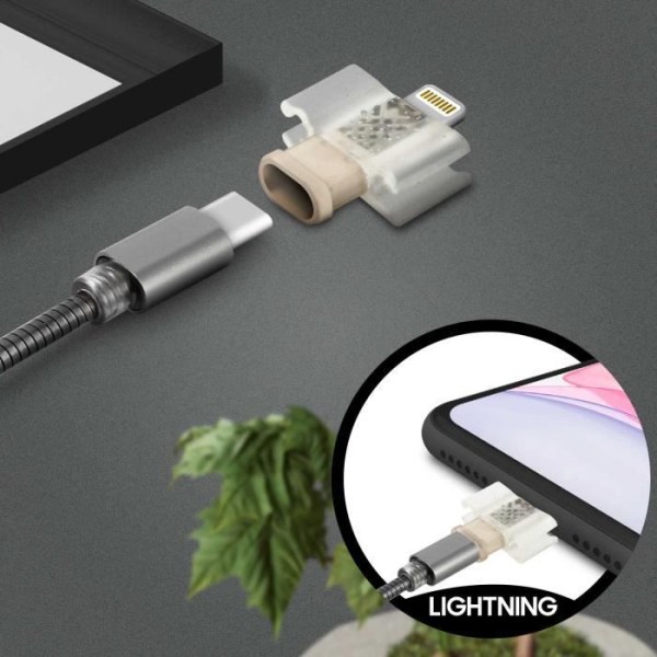 LinQ USB-C-kabel och Lightning Charge 2A och synkroniseringsadapter - Grå