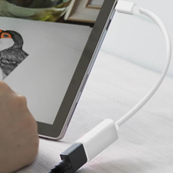 Videoadapteri - LinQ - Mini DisplayPortista HDMI:een - 4K - Full HD - Valkoinen