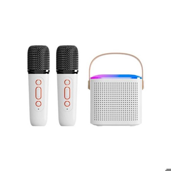 Bluetooth 5.3 Mini Karaoke Högtalare Modell Taylor Vit Vit