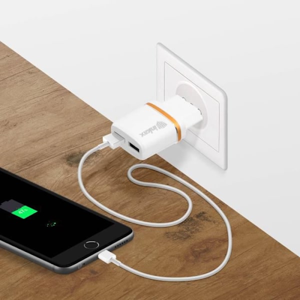 Netoplader - INKAX - Inkax - 2x USB-porte - Hurtig opladning - Hvid Vit