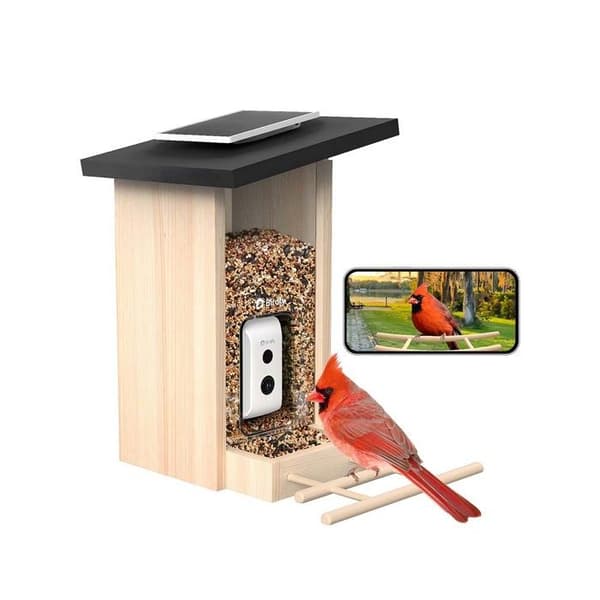 Fuglefoderstation med AI-kamera og vandtæt solpanel IP66 Birdfy Brun / Beige Brun / Beige
