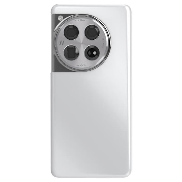 Ersättningsbakglas för OnePlus 12 Silver Grå