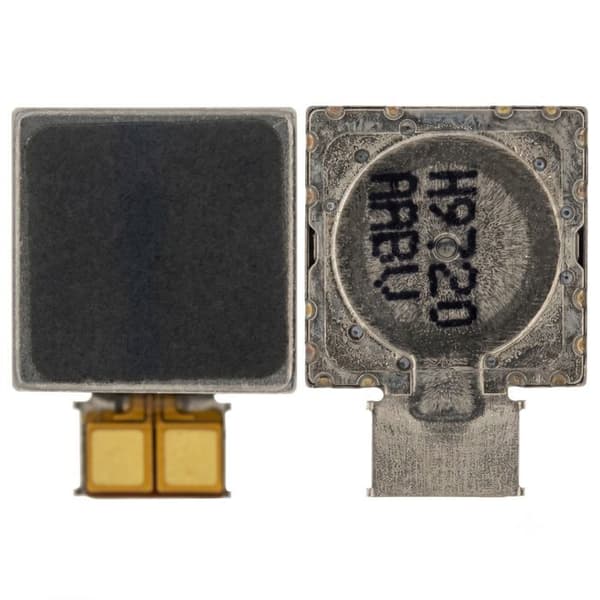 Vibrationsmotor med Flexkabel til Samsung Galaxy Note 20 Ultra Sort Svart
