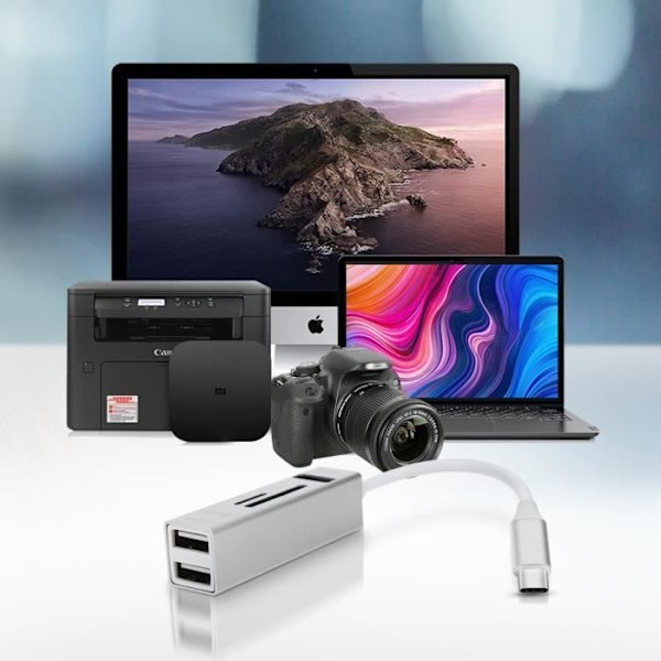 5 i 1 USB-C Hub: 3 USB-porte og LinQ MicroSD SD-kortlæser Sølv
