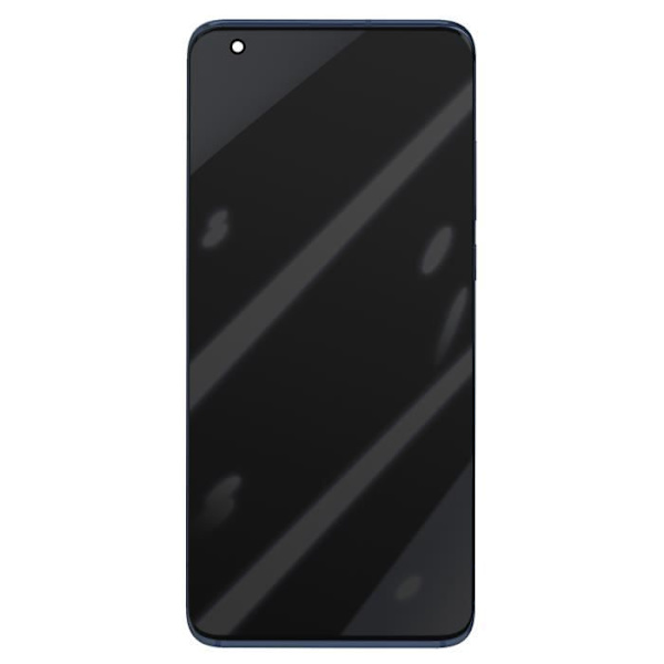 LCD-skærm + Berøringsglas + Grå Chassis til Xiaomi Mi 10 Pro - Officiel og nem at installere Grå