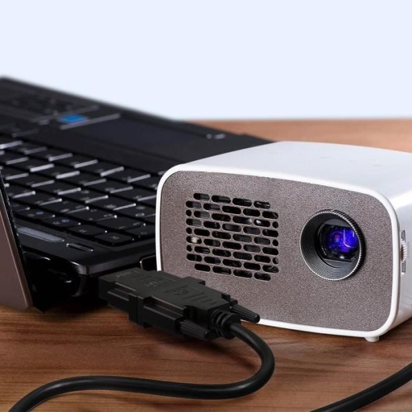 HDMI Han til DVI Hun Adapter Video Adapter