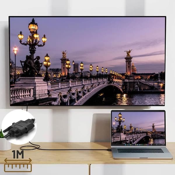Videoadapteri - AVIZAR - 1m - HDMI uros DVI uros - Full HD 1080p - Plug and play
