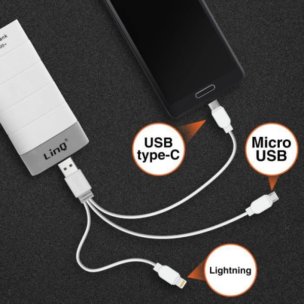 Universal Backup Batteri LinQ 1A 6000mAh USB Extern Laddare Vit och Grå Grå