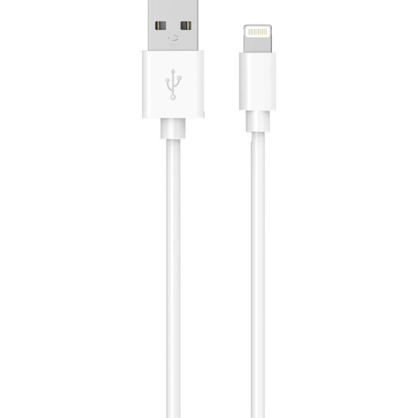 2 meter vit Lightning Wow USB / USB laddnings- och synkkabel