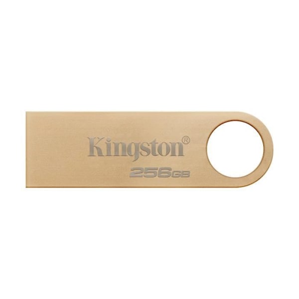 USB-avain - KINGSTON - DataTraveler - 256 Gt - USB 3.2 - Nopeus jopa 220 MB/s